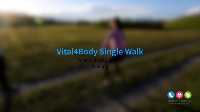 Preview image for the video "Walking_Technik6_V4Body_SingleWalk".