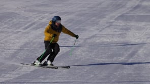 Preview image for the video "Ski_Technik_Carven".