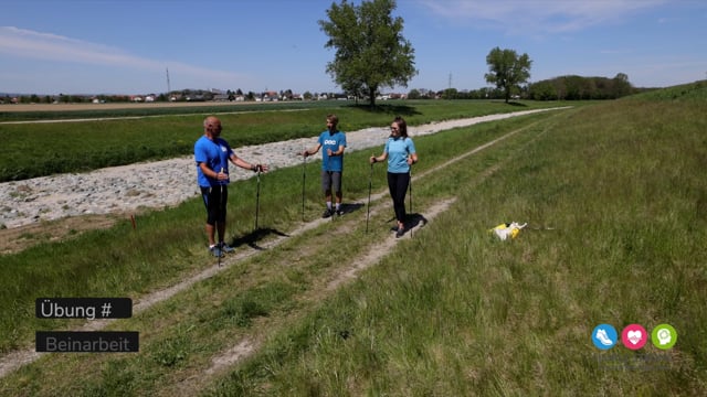 Preview image for the video "Nordic_Methodik_Übung8".