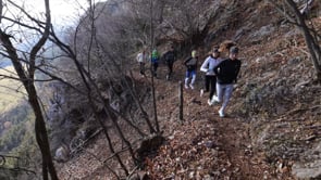Preview image for the video "Running_TrailRunning".