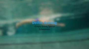 Preview image for the video &quot;1.2-Delfin_Armzug&quot;.