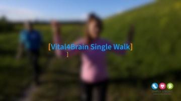 Preview image for the video &quot;Walking_Technik4_V4Brain_SingleWalk&quot;.