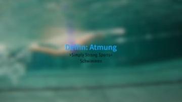 Preview image for the video &quot;1.4-Delfin_Atmung&quot;.